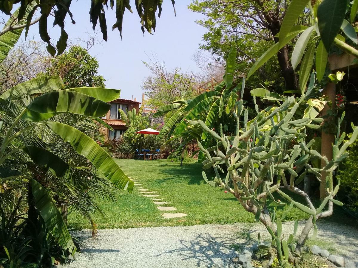 Cabanas El Nido De La Huilota Hotel Tepoztlan Bagian luar foto